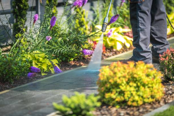 Best Winterizing Services  in Center Hill, FL