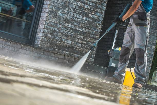 Best Roof Washing  in Center Hill, FL