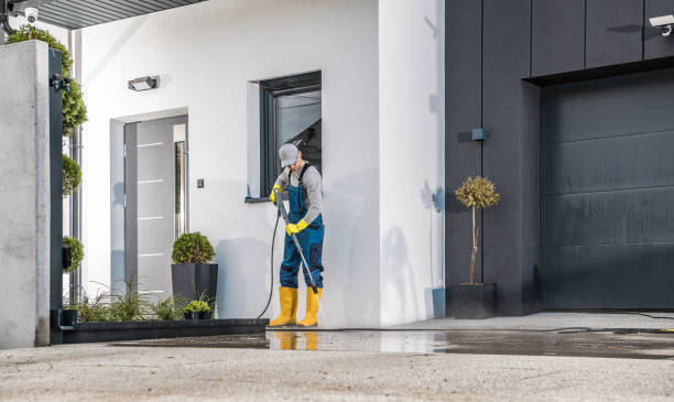 Best Soft Washing  in Center Hill, FL